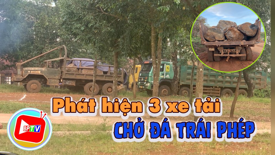 Bình Phước: Phát hiện 3 xe tải chở đá trái phép 