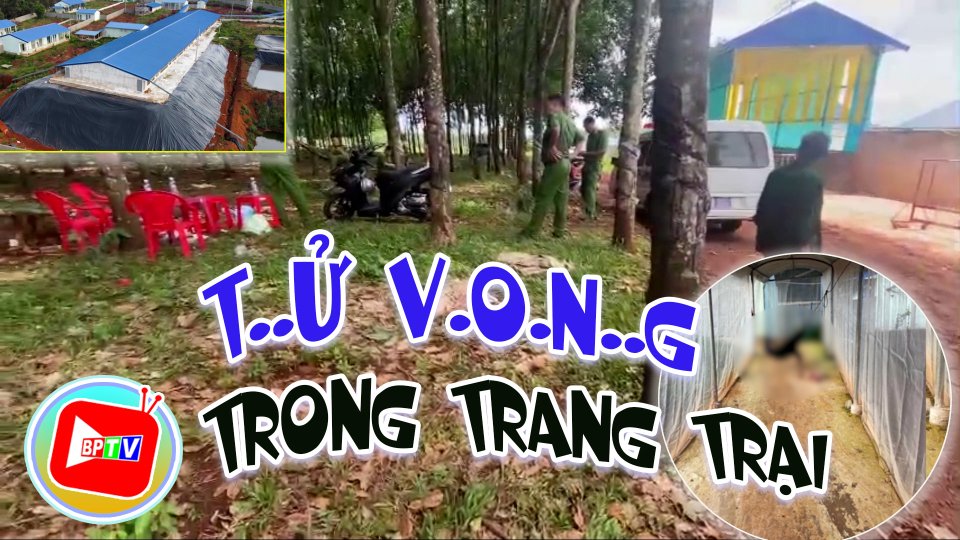 Bình Phước: Phát hiện nam công nhân t..ử v.o.n..g trong trang trại heo