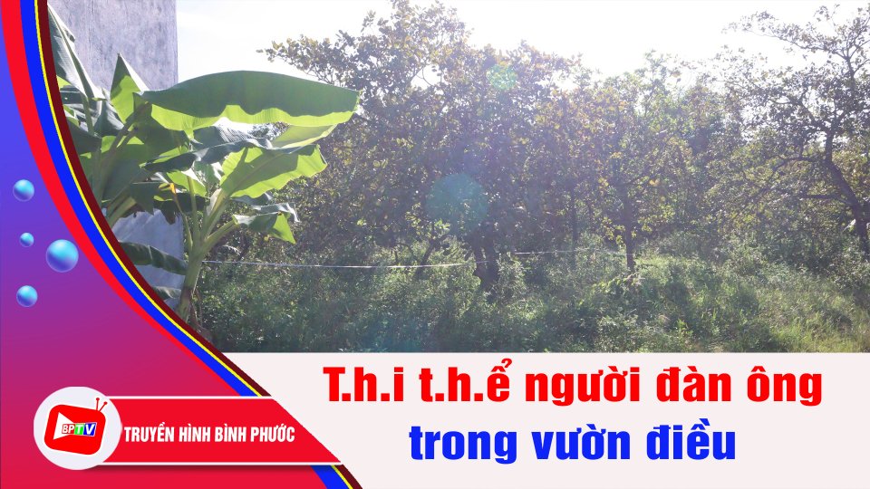 Bình Phước: Phát hiện t.h.I t.h.ể người đàn ông trong vườn điều