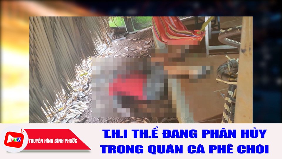 Bình Phước: Phát hiện t.h.i th.ể đang phân hủy trong quán cà phê chòi |BPTV