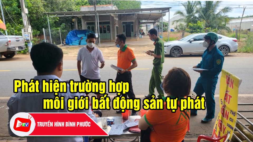 Bình Phước: Phạt một trường hợp tự lập điểm môi giới bất động sản tự phát |BPTV