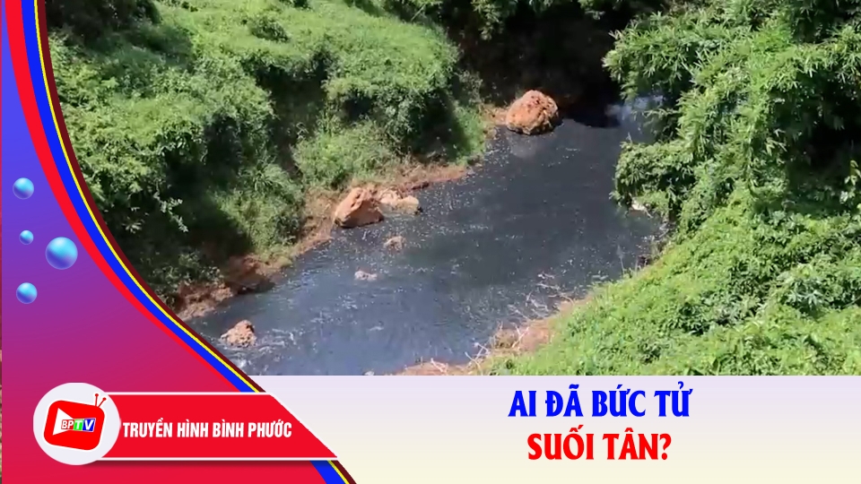 Bình Phước: Suối Tân ở Phú Riềng bốc mùi hôi nồng nặc vì ô nhiễm |BPTV