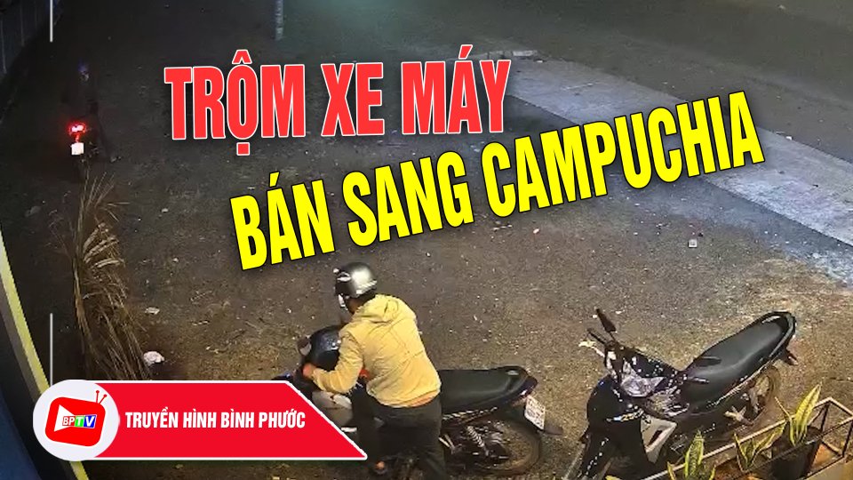 Bình Phước: Theo dấu đường dây trộm xe máy bán sang Campuchia |BPTV