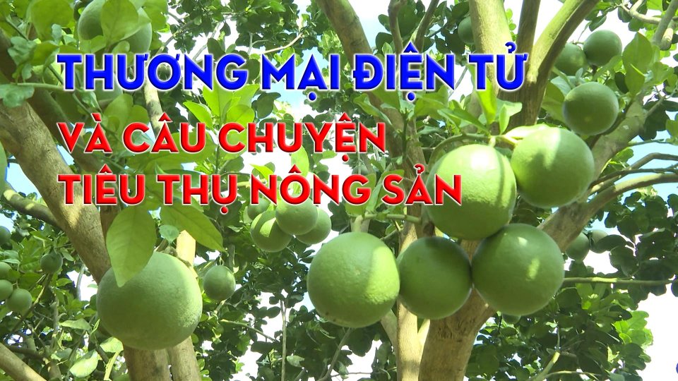 Bình Phước thúc đẩy tiêu thụ nông sản qua sàn thương mại điện tử |BPTV