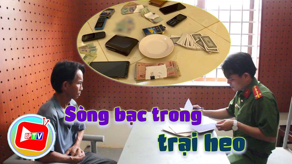 Bình Phước: Triệt phá sòng bạc trong trại heo 