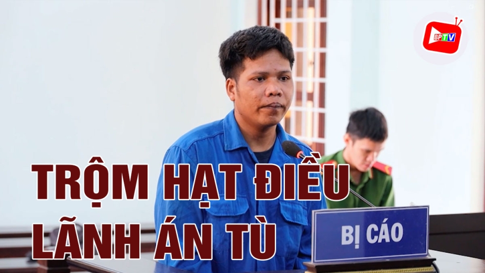 Bình Phước: Trộm 19,8kg hạt điều tươi lĩnh án 18 tháng tù giam |BPTV