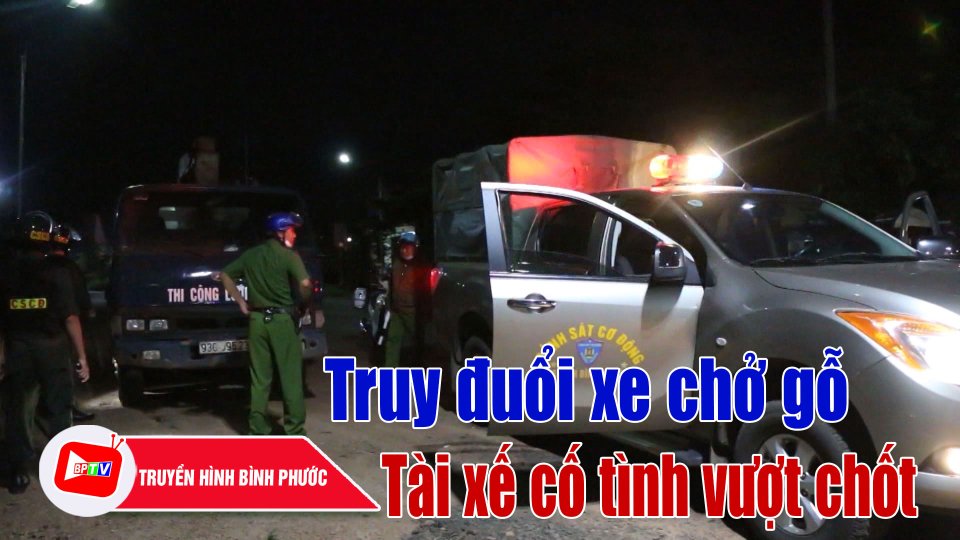 Bình Phước: Truy đuổi khống chế xe chở gỗ cố tình vượt chốt kiểm soát |BPTV
