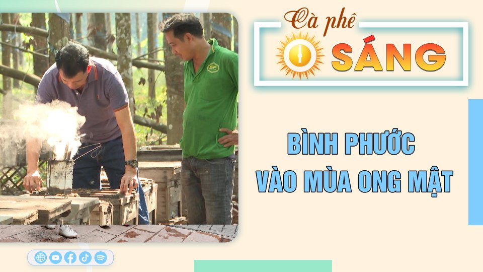 Bình Phước vào mùa ong mật |Cà phê sáng 18-2-2023 ||BPTV