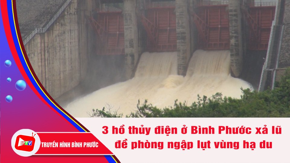 Bình Phước: Xả lũ 3 hồ thủy điện, vùng hạ du cần đề phòng ngập lụt | BPTV