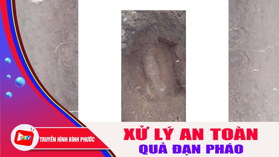Bình Phước: Xử lý an toàn quả đạn pháo trong vườn nhà dân |BPTV