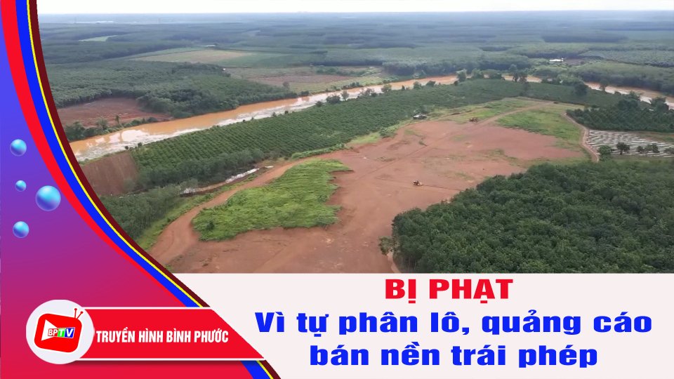 Bình Phước: Xử phạt một cá nhân tự phân lô, quảng cáo bán nền trái phép | BPTV