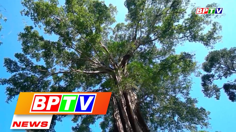 BPTV NEWS 10-6-2023: Binh Phuoc’s rural tourism integrated with new-style rural area building
