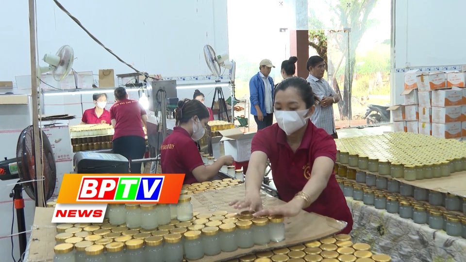 BPTV NEWS 11-3-2024: Binh Phuoc’s Swallow Fest set to soar in April