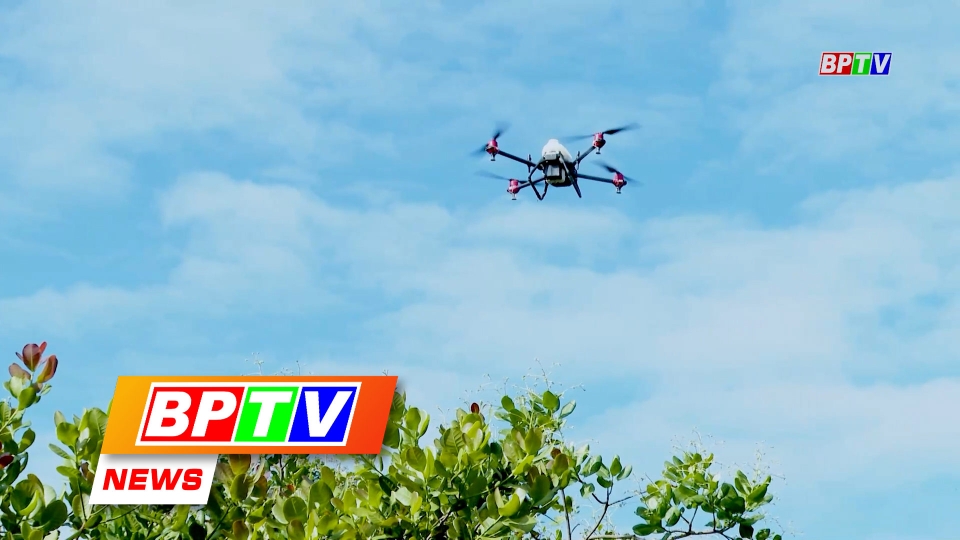 BPTV NEWS 11-8-2024: Binh Phuoc promotes intellectual property activities