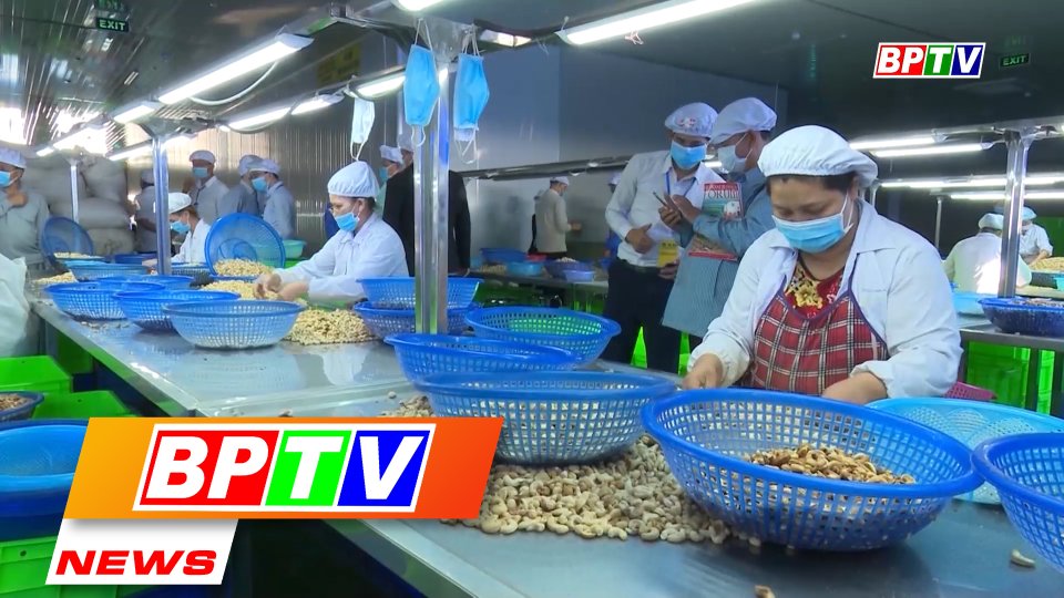 BPTV NEWS 12-12-2022: Binh Phuoc posts bright results in socio-economic development