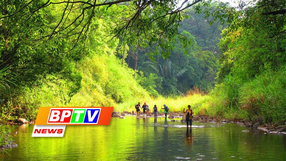 BPTV NEWS 13-1-2024: Proposal made for Bu Gia Map National Park to become ASEAN Heritage Garden