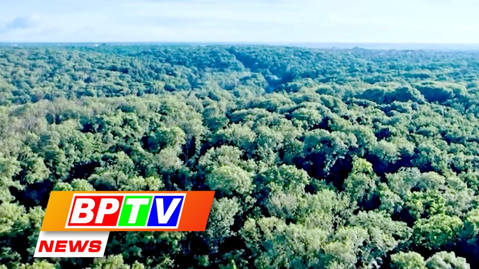 BPTV NEWS 14-10-2023: Binh Phuoc paying due regard to forest protection