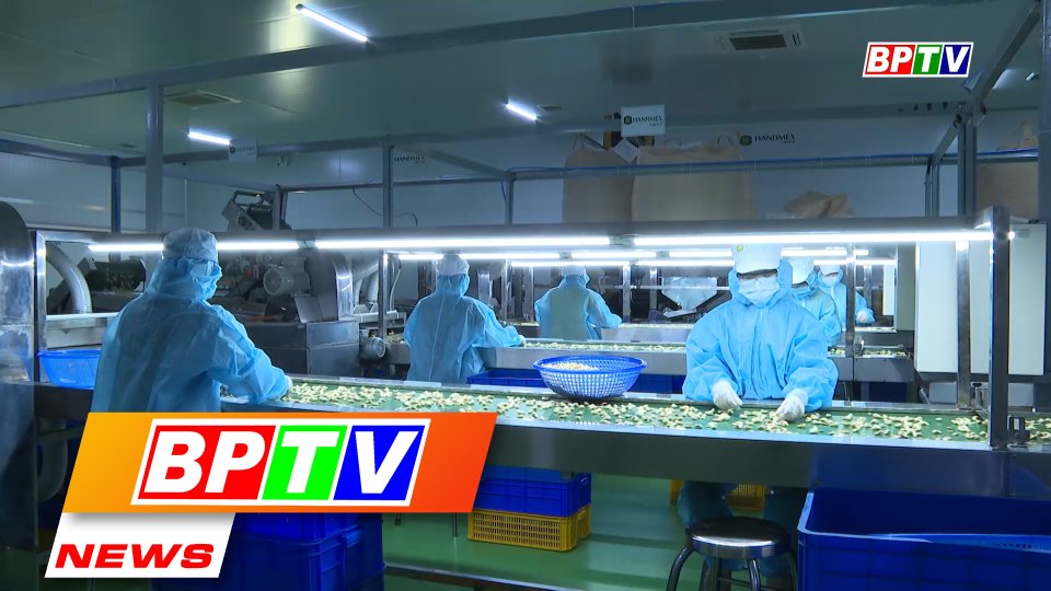 BPTV NEWS 14-12-2022: Vietnamese cashew nuts seek means to penetrate African market