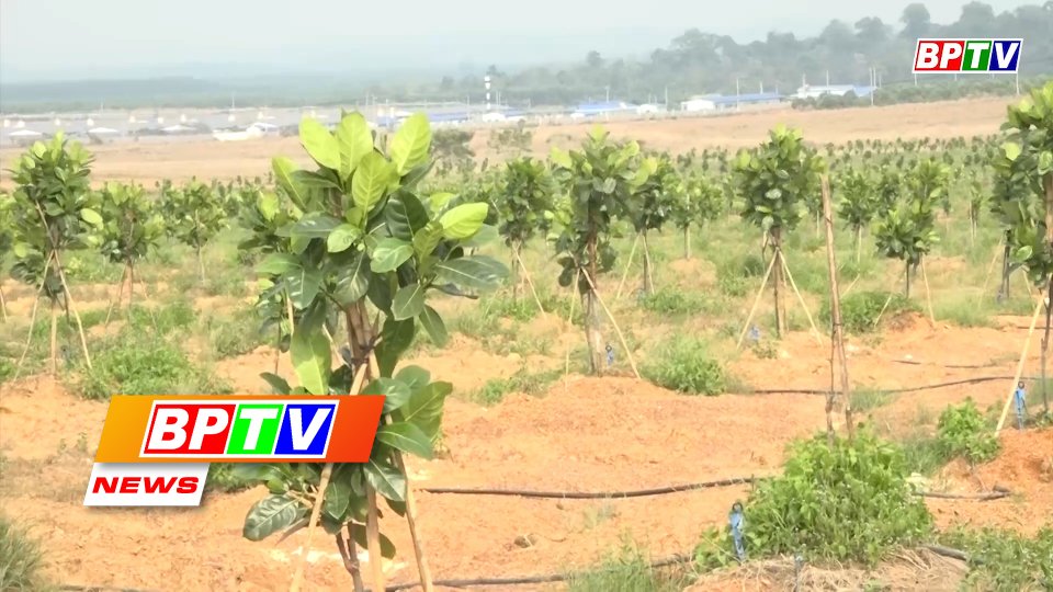 BPTV NEWS 14-3-2022: Bu Dop looking for markets for agricultural products