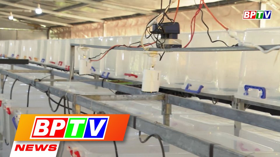 BPTV NEWS 15-3-2022: Binh Phuoc farmers applying digitalisation in production