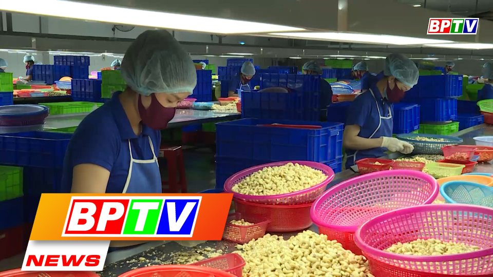 BPTV NEWS 15-6-2022: Binh Phuoc bolsters farm produce value