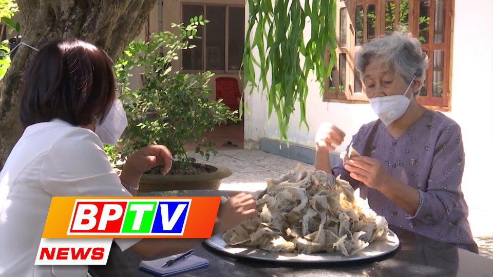 BPTV NEWS 16-7-2023: Binh Phuoc developing swiftlet farming