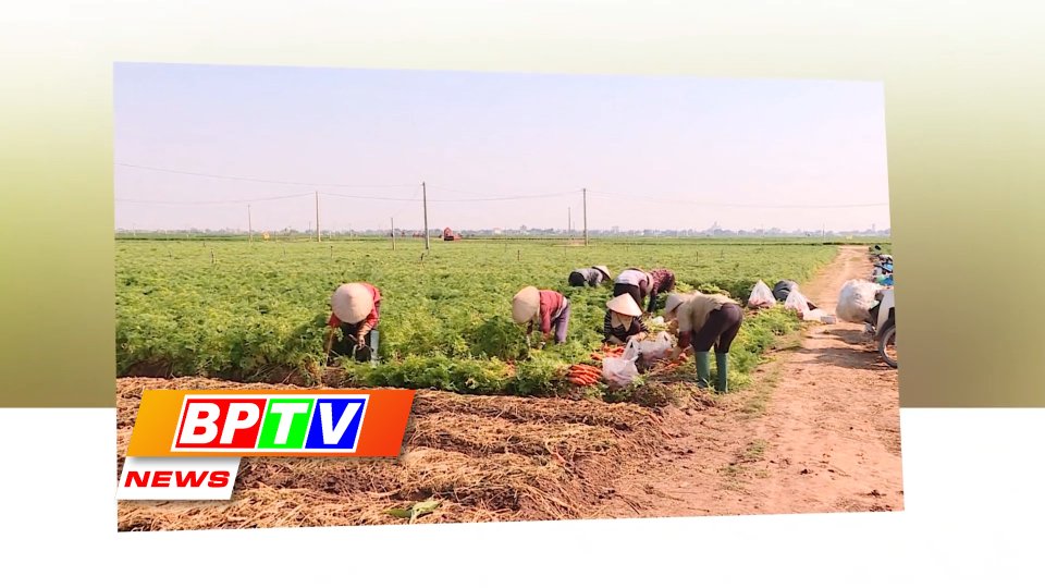 BPTV NEWS 17-2-2023: Good signs seen in fruit, vegetable export