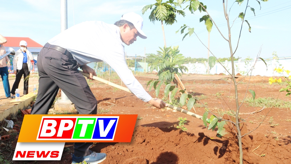 BPTV NEWS 17-5-2024: Tree Planting Festival launched around Binh Phuoc province   