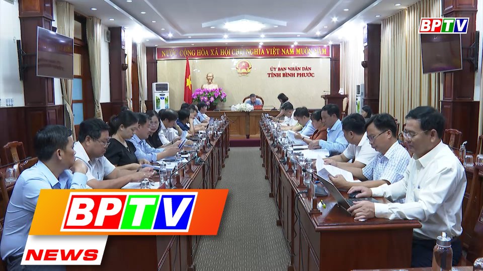 BPTV NEWS 17-6-2022: Binh Phuoc developing cashew nut industry in 2020-2025 period