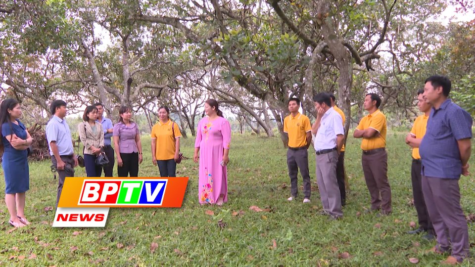 BPTV NEWS 18-10-2022: Organic Cashew Agricultural Cooperative launched