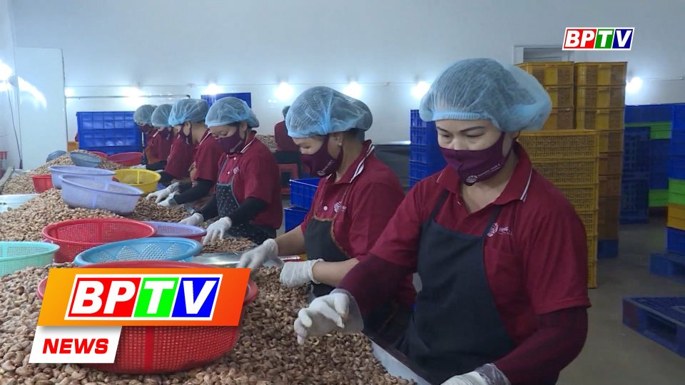BPTV NEWS 18-1-2024: Binh Phuoc’s export turnover reaches target