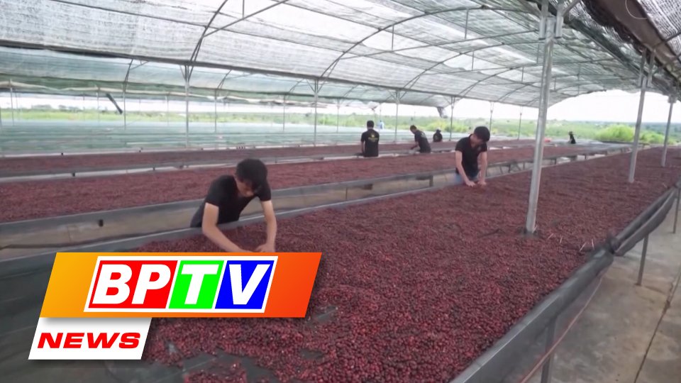 BPTV NEWS 18-6-2023: Vietnam’s coffee exports hoped to earn over 4 billion USD this year