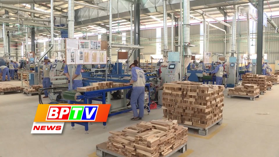 BPTV NEWS 19-2-2023: Wood and wooden product exports are projected to rake in 25 billion USD by 2030