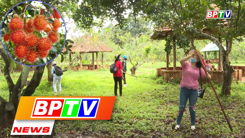 BPTV NEWS 19-7-2022: Visitor numbers to Binh Phuoc tourist sites surging