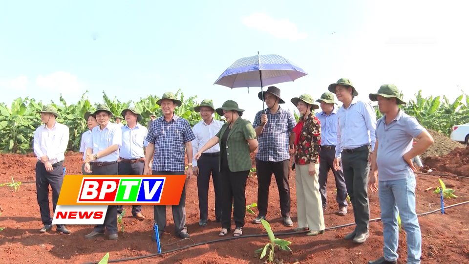 BPTV NEWS 1-10-2023: Binh Phuoc leader to hold online dialogue with farmers