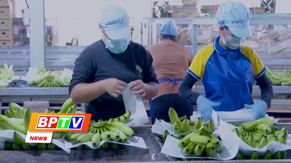 BPTV NEWS 1-6-2025: Positioning Binh Phuoc’s agriculture: Modern - green - globally Connected