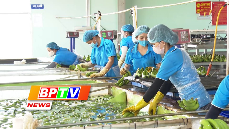 BPTV NEWS 20-1-2024: Binh Phuoc speeds up agricultural production to meet its 5-year plan