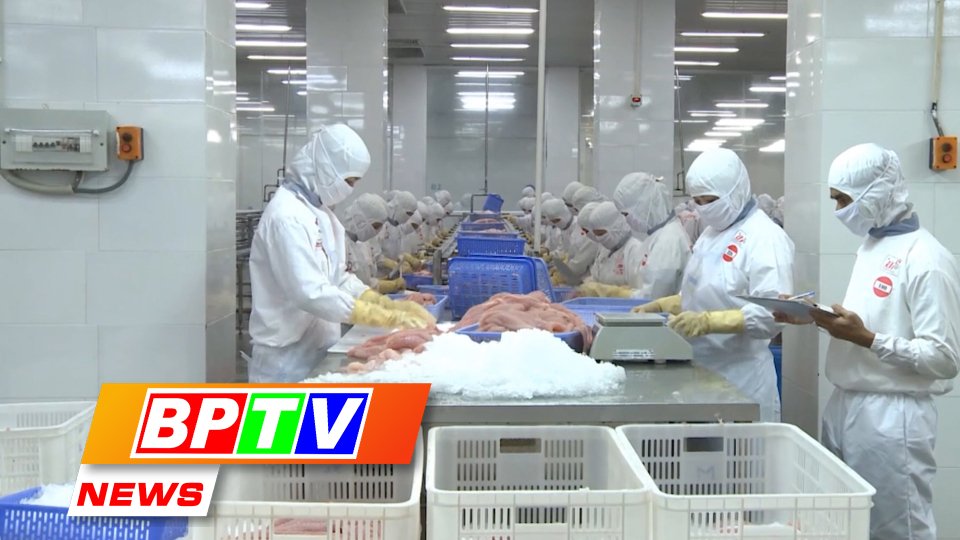 BPTV NEWS 20-7-2023: Export shows sign of gradual recovery