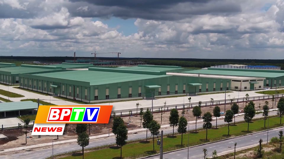 BPTV NEWS 20-8-2023: Trade promotion activities boosted