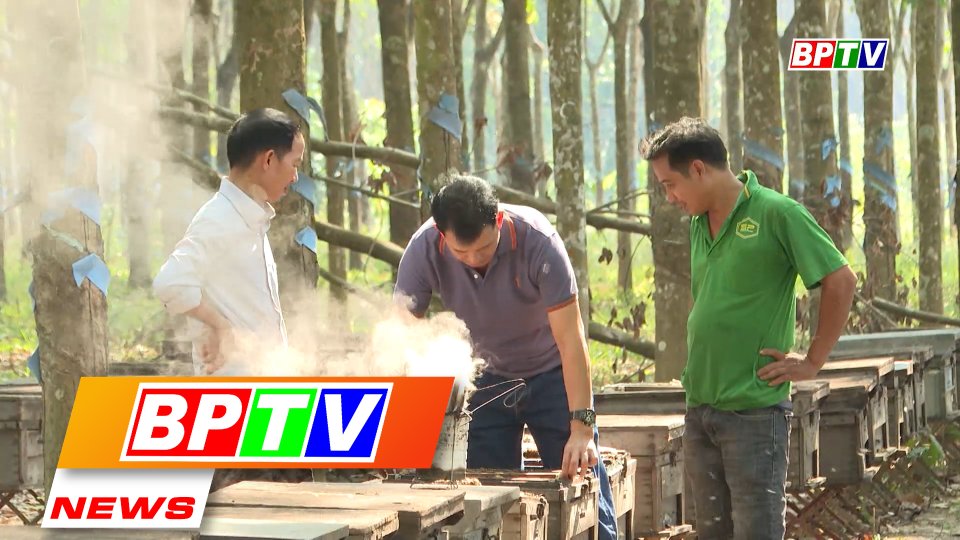 BPTV NEWS 22-2-2023: Binh Phuoc enters honeybee season