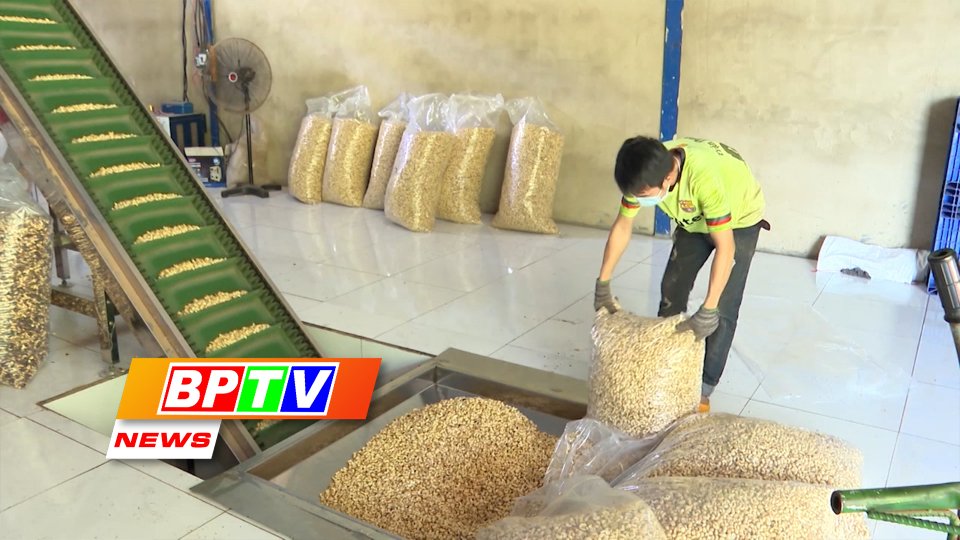 BPTV NEWS 23-9-2023: 28 trillion VND expected to be invested in hi-tech agriculture