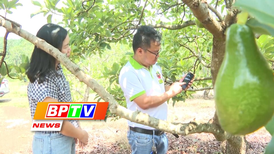 BPTV NEWS 23-7-2023: Restructuring Binh Phuoc’s agricultural sector
