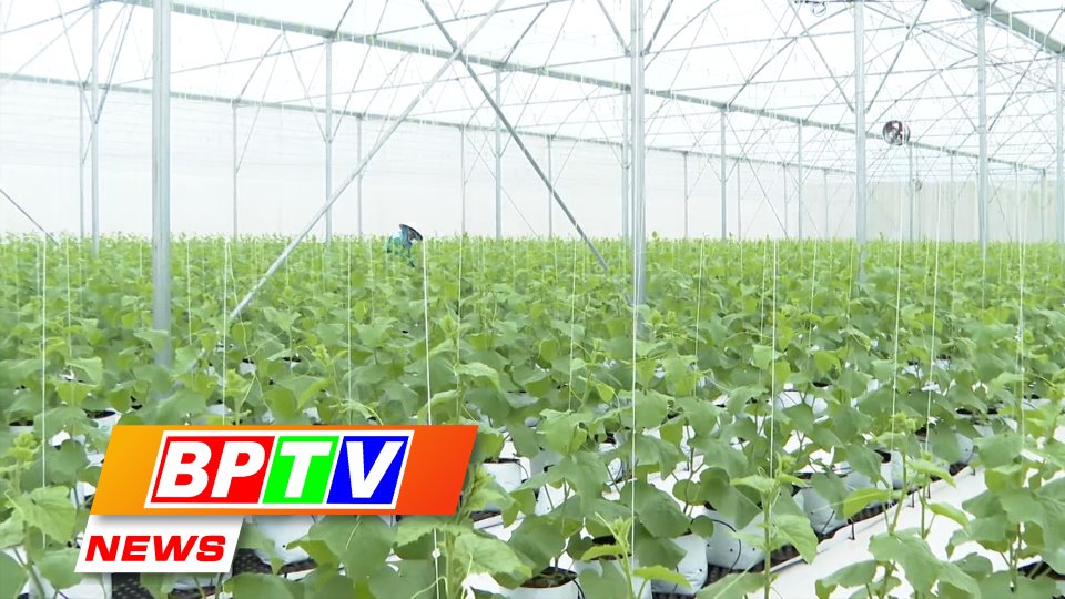 BPTV NEWS 24-9-2023: Binh Phuoc focuses on applying science and technology in agriculture