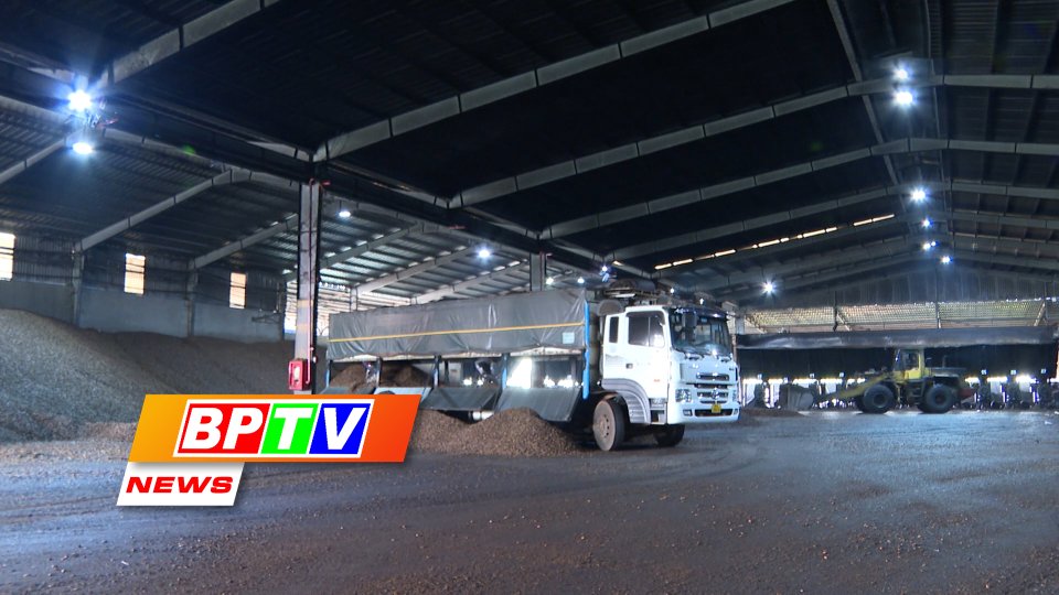 BPTV NEWS 25-9-2023: Binh Phuoc utilises waste from cashew processing
