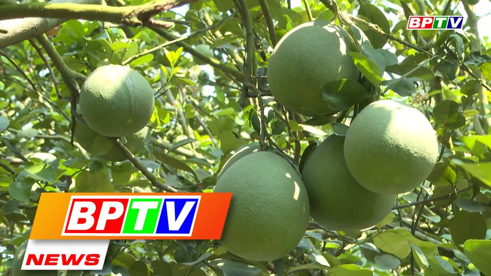 BPTV NEWS 26-3-2023: Efficiency of the model of production in association with consumption