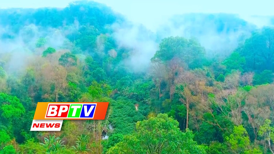 BPTV NEWS 27-7-2023: Binh Phuoc protecting natural heritage