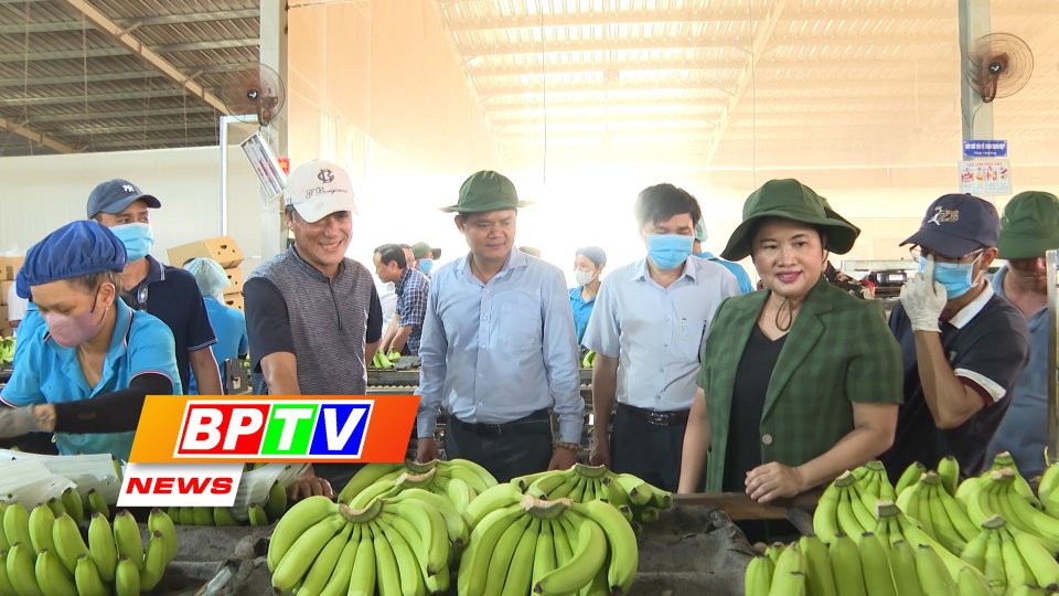 BPTV NEWS 28-5-2023: Binh Phuoc improving farm produce brand name