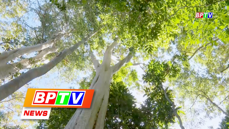 BPTV NEWS 28-9-2024: Binh Phuoc strengthens environmental protection of natural heritage