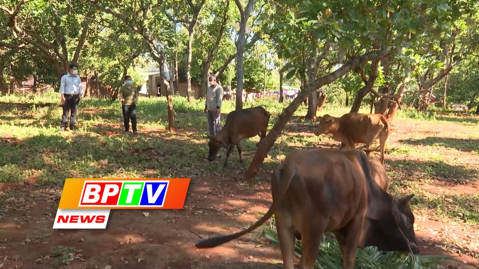 BPTV NEWS 29-6-2024: Binh Phuoc reaps significant outcomes in poverty reduction