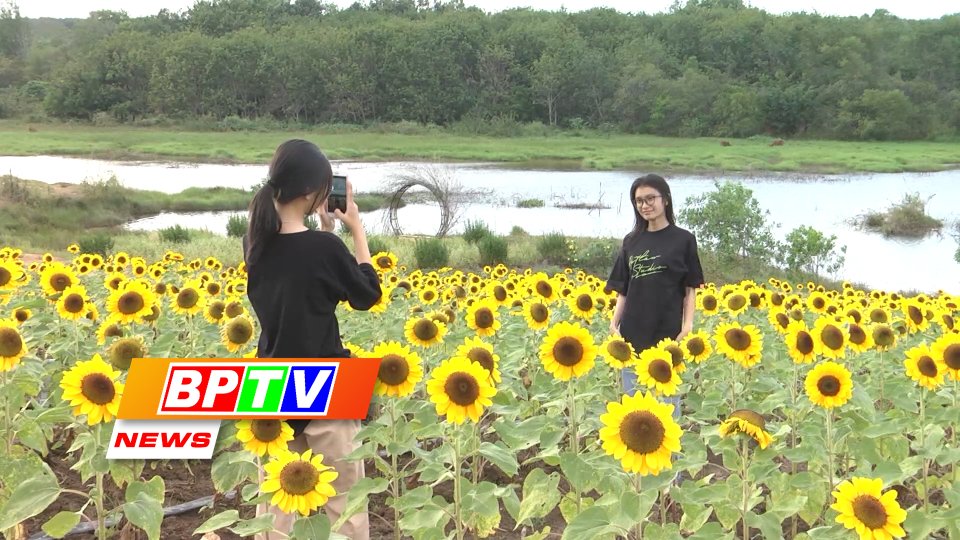BPTV NEWS 2-1-2023: Dong Xoai streets decorated to welcome New Year